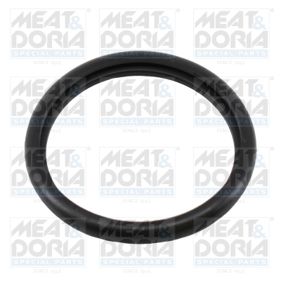 Seal, thermostat